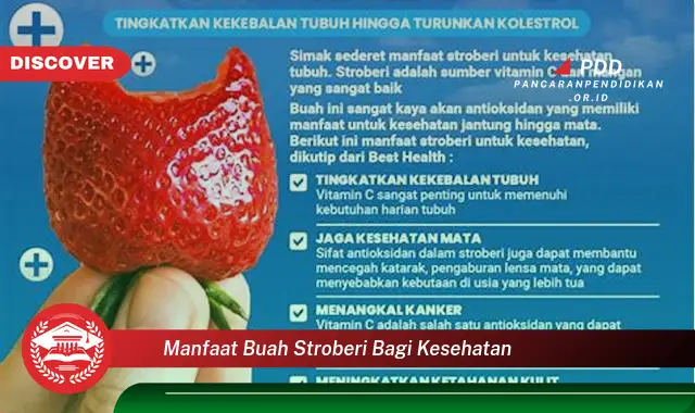 manfaat buah stroberi bagi kesehatan