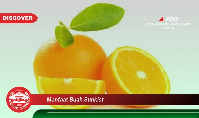 manfaat buah sunkist