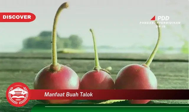 manfaat buah talok