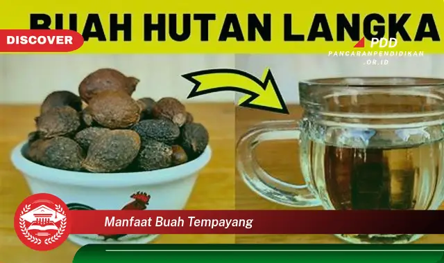 manfaat buah tempayang