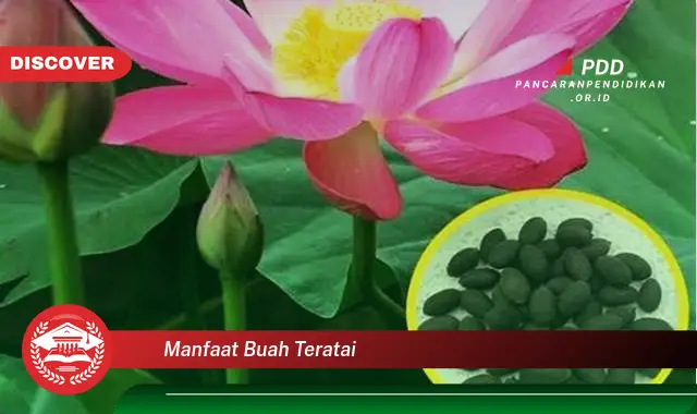 manfaat buah teratai
