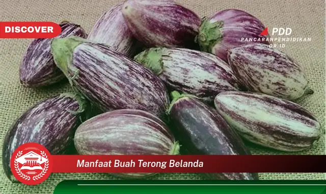 manfaat buah terong belanda