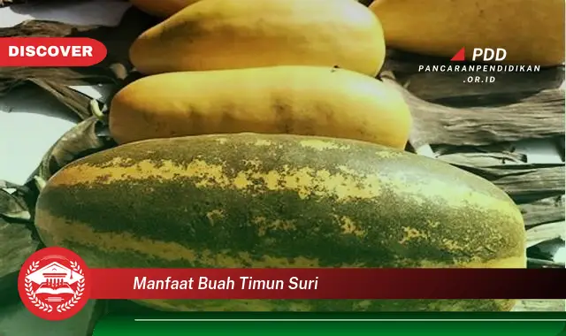 manfaat buah timun suri