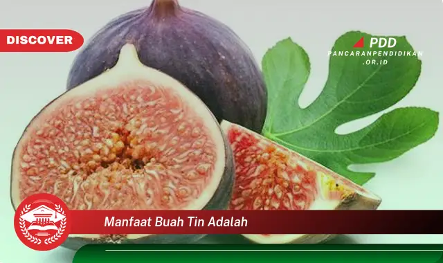 manfaat buah tin adalah