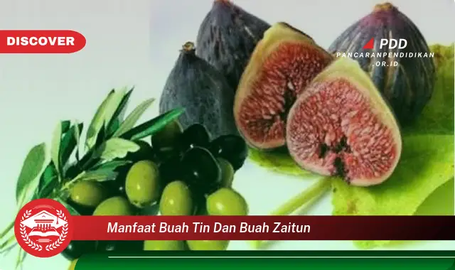 manfaat buah tin dan buah zaitun