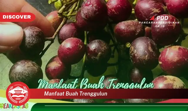 manfaat buah trenggulun