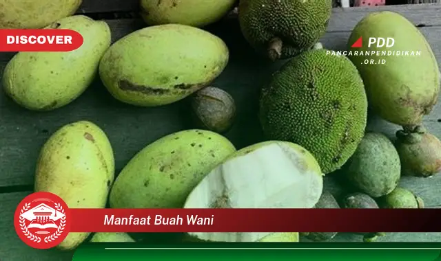 manfaat buah wani