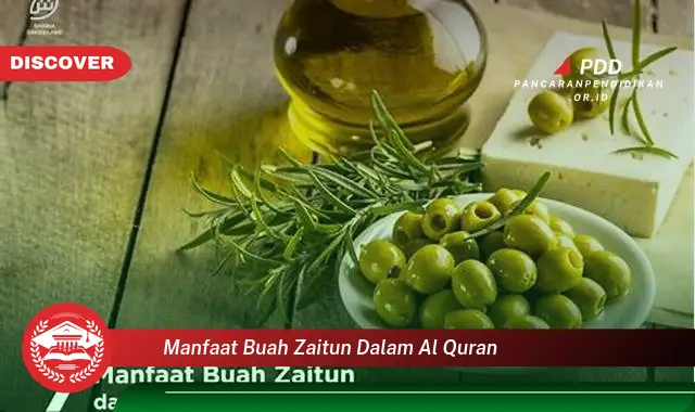 manfaat buah zaitun dalam al quran