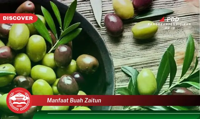 manfaat buah zaitun