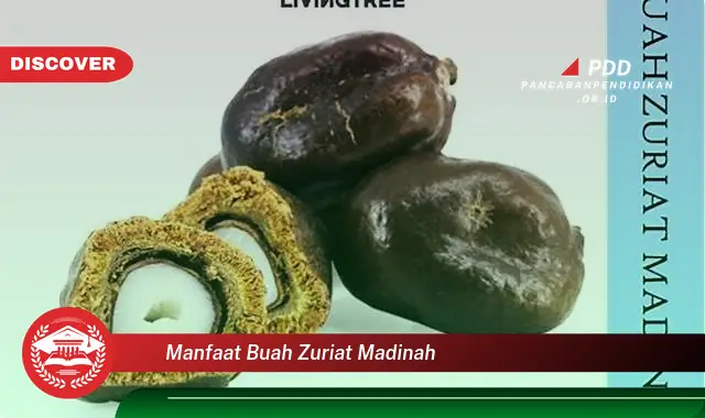 manfaat buah zuriat madinah