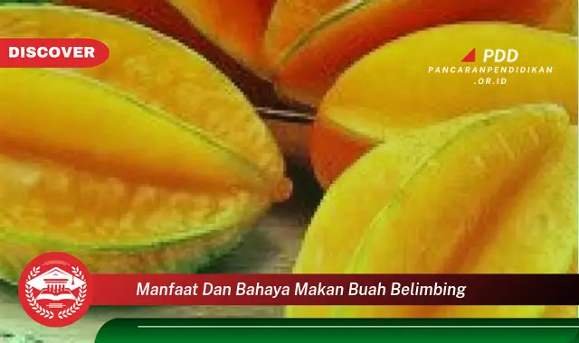 manfaat dan bahaya makan buah belimbing