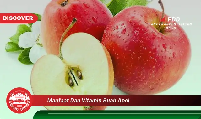 manfaat dan vitamin buah apel
