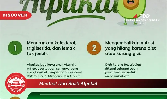 Kamu Wajib Tahu, Inilah 30 Manfaat Buah Alpukat yang Bikin Penasaran