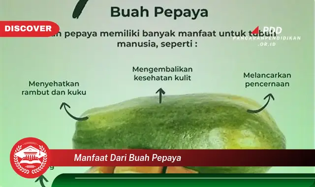 manfaat dari buah pepaya