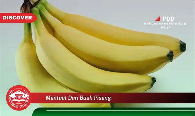 manfaat dari buah pisang