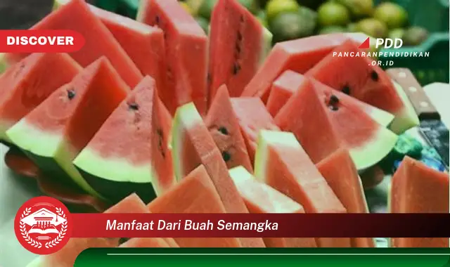 manfaat dari buah semangka