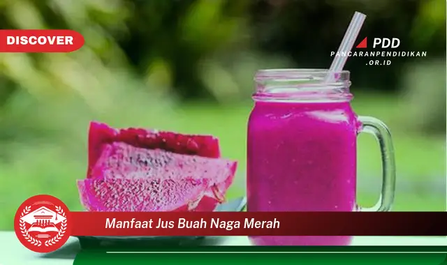 manfaat jus buah naga merah