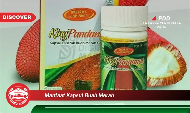 manfaat kapsul buah merah