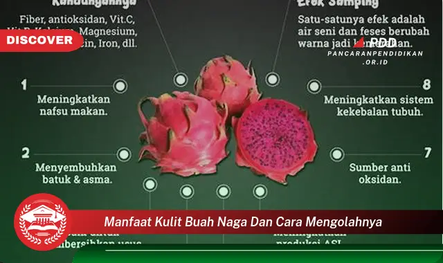 manfaat kulit buah naga dan cara mengolahnya