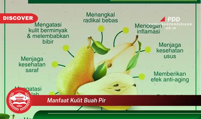 manfaat kulit buah pir