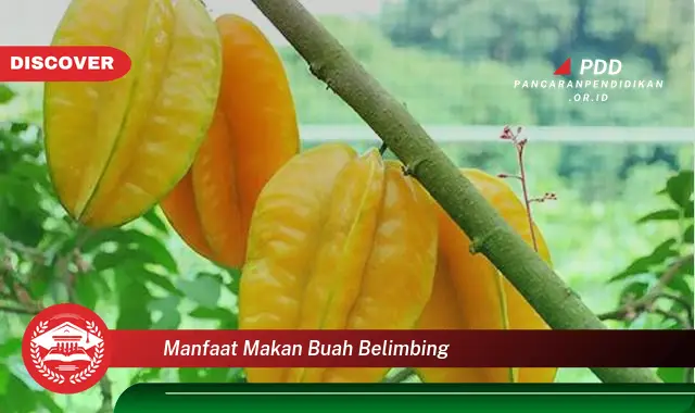 manfaat makan buah belimbing