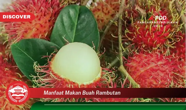 Kamu Wajib Tahu, Inilah 30 Manfaat Makan Buah Rambutan yang Jarang Diketahui