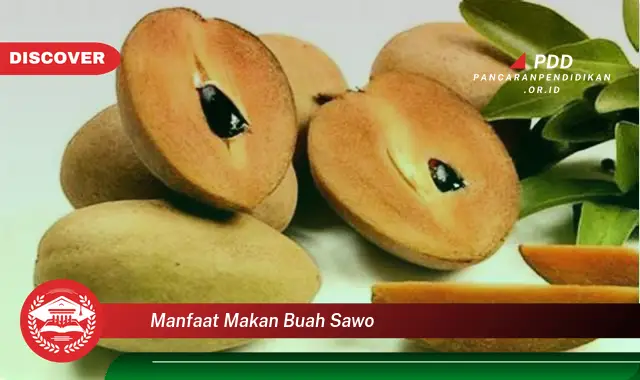 manfaat makan buah sawo