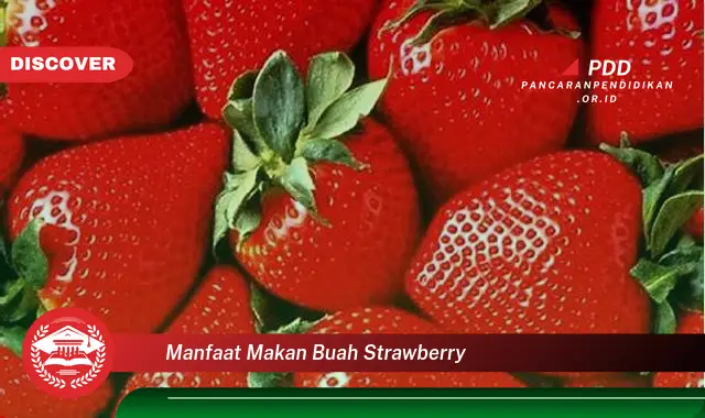 Intip 10 Manfaat Makan Buah Strawberry Bikin Kamu Penasaran