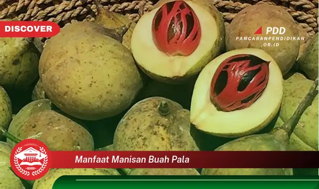 manfaat manisan buah pala