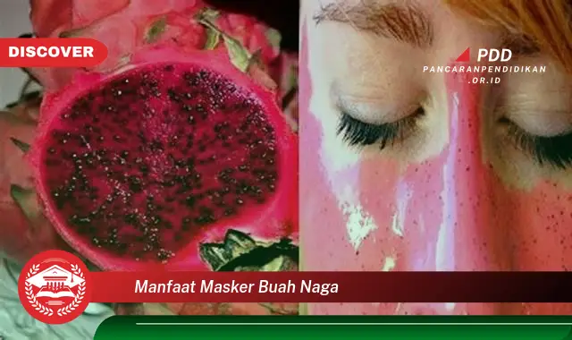 Kamu Wajib Tahu, 30 Manfaat Masker Buah Naga yang Jarang Diketahui