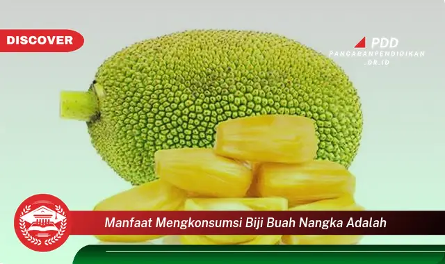 manfaat mengkonsumsi biji buah nangka adalah