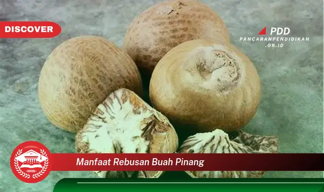 manfaat rebusan buah pinang