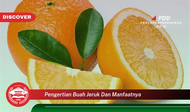 pengertian buah jeruk dan manfaatnya