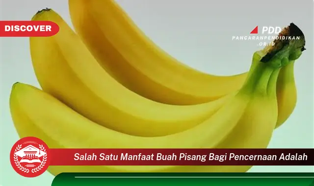 salah satu manfaat buah pisang bagi pencernaan adalah