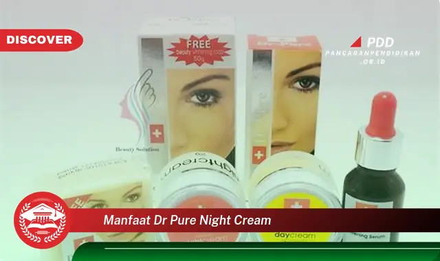 manfaat dr pure night cream