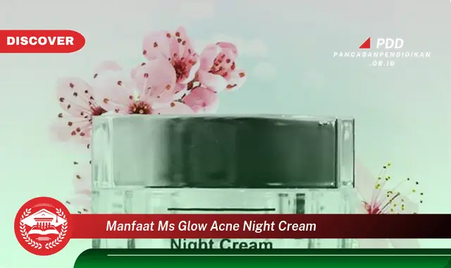 manfaat ms glow acne night cream