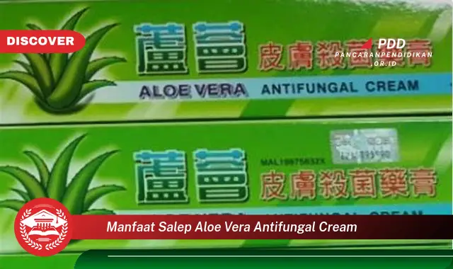 manfaat salep aloe vera antifungal cream