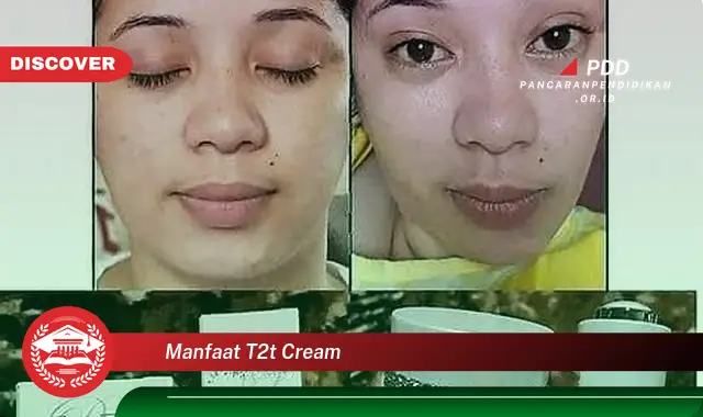 manfaat t2t cream