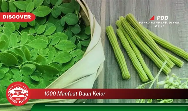 1000 manfaat daun kelor