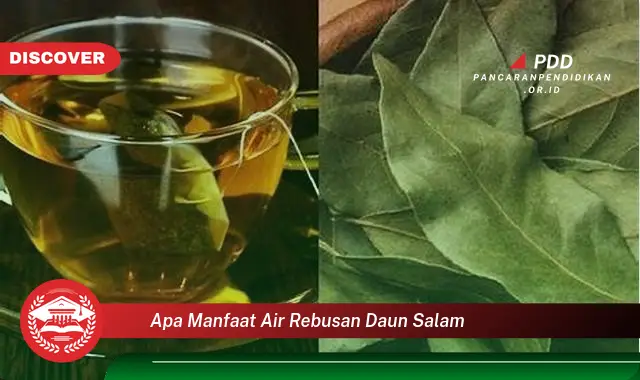 apa manfaat air rebusan daun salam