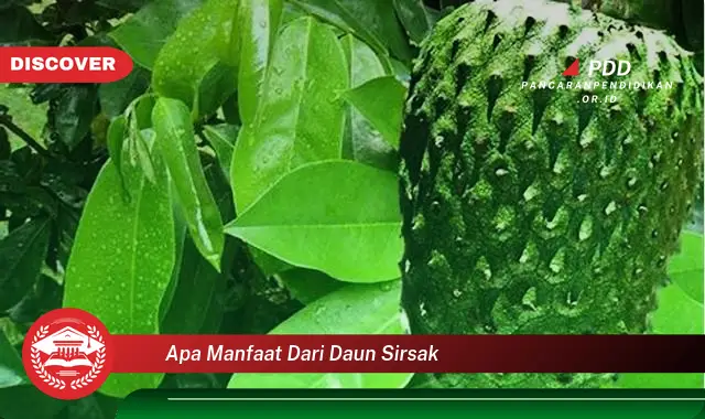 apa manfaat dari daun sirsak