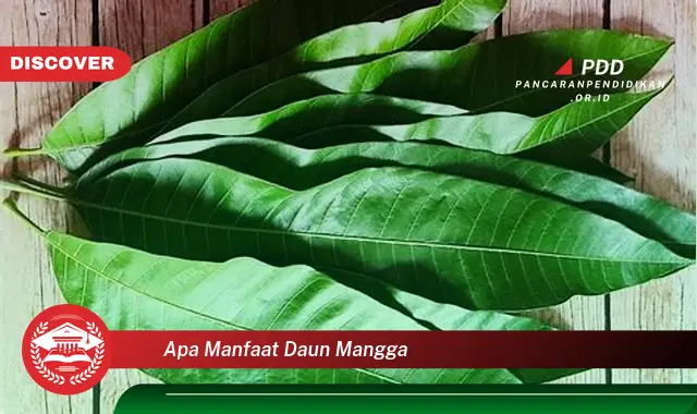 apa manfaat daun mangga