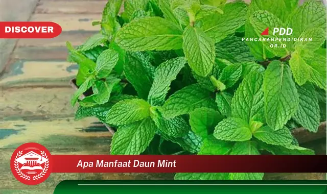 apa manfaat daun mint