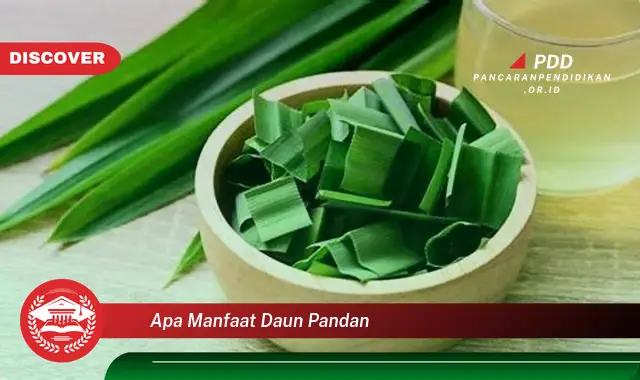 apa manfaat daun pandan