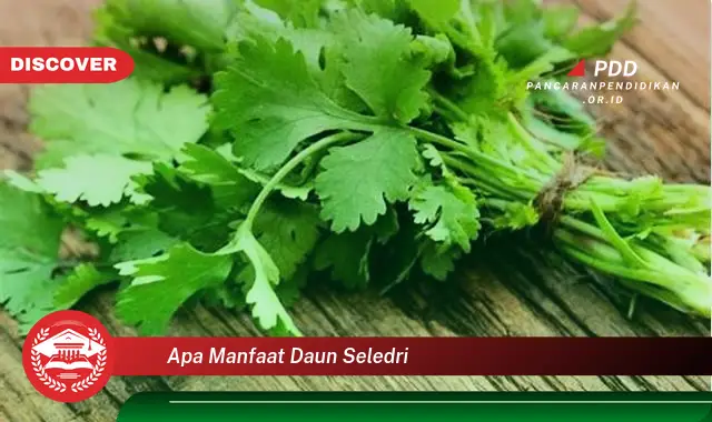 apa manfaat daun seledri