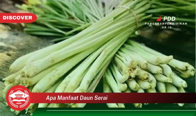 apa manfaat daun serai