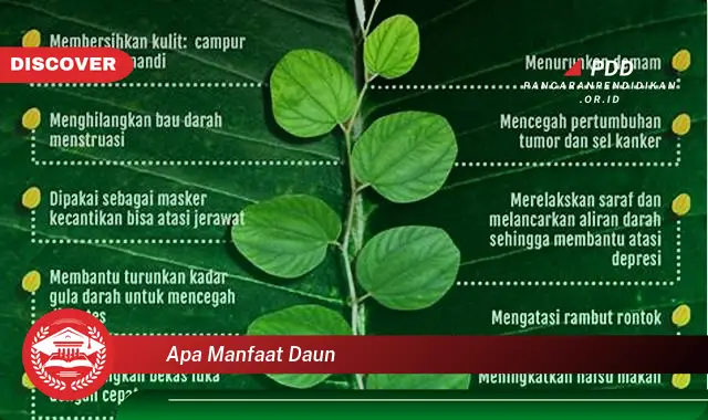 Kamu Wajib Tahu, Inilah 30 Manfaat Daun yang Bikin Penasaran