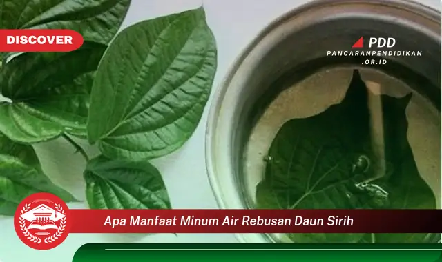 apa manfaat minum air rebusan daun sirih