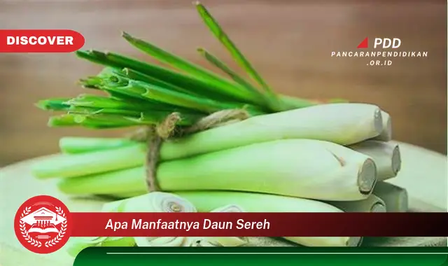 apa manfaatnya daun sereh