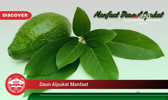 daun alpukat manfaat